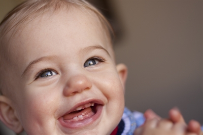 This is the image for the news article titled The Formative Stages of Your Child's Dental Journey